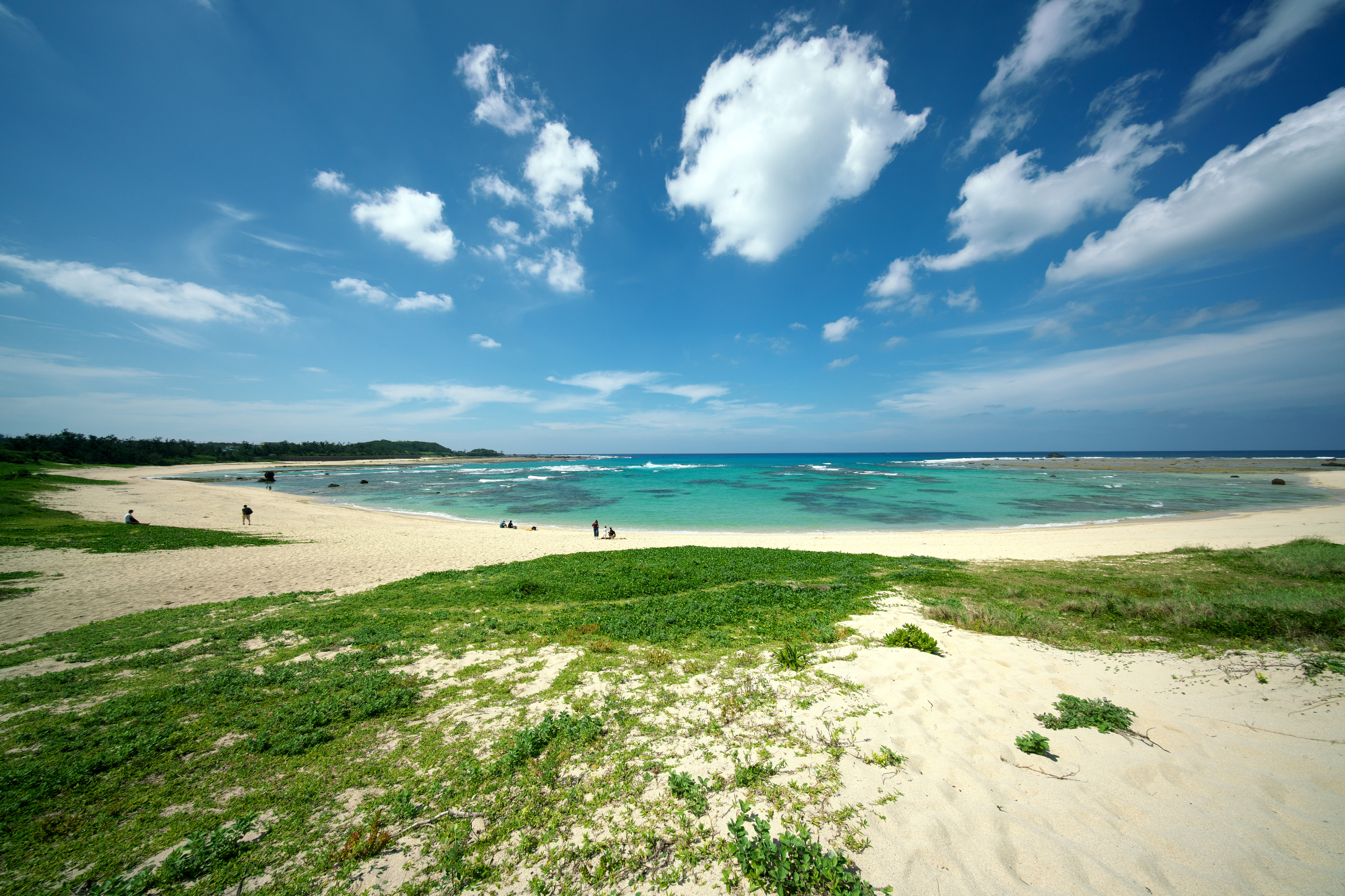ōshima island (3).webp